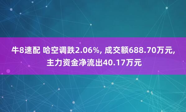 牛8速配 哈空调跌2.06%, 成交额688.70万元, 主力资金净流出40.17万元