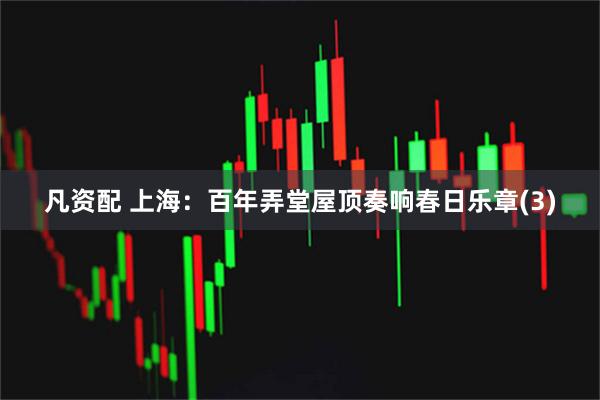 凡资配 上海：百年弄堂屋顶奏响春日乐章(3)