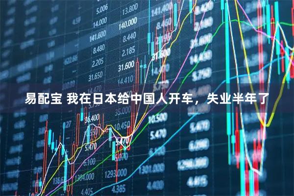 易配宝 我在日本给中国人开车，失业半年了